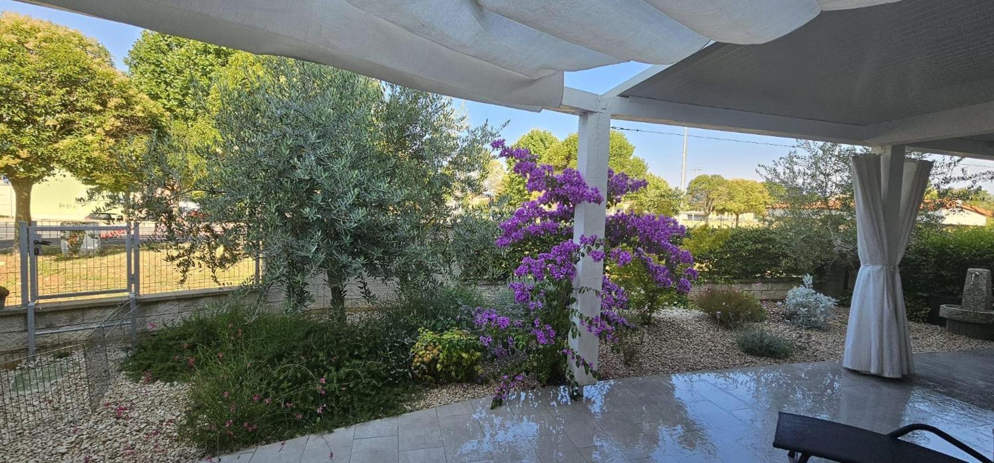Apartman Magnolija Umag Exteriör bild